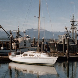 Sailboat in a harbor